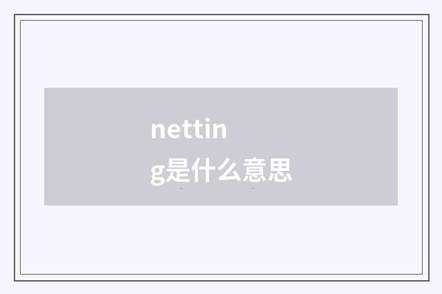 netting是什么意思