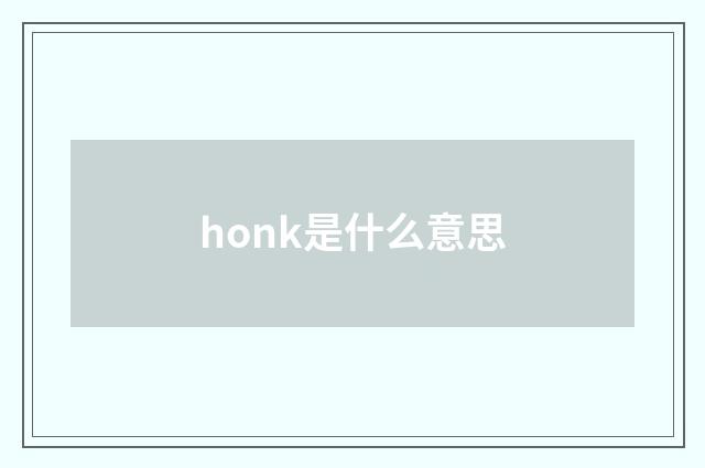 honk是什么意思