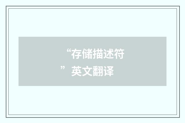 “存储描述符”英文翻译