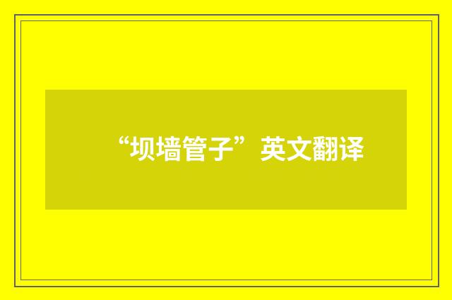 “坝墙管子”英文翻译