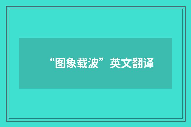 “图象载波”英文翻译