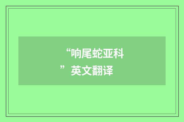 “响尾蛇亚科”英文翻译