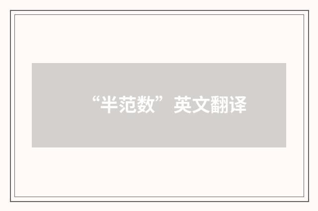 “半范数”英文翻译