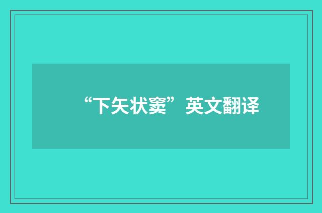 “下矢状窦”英文翻译