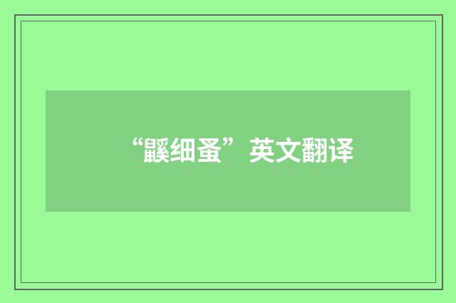 “鼷细蚤”英文翻译