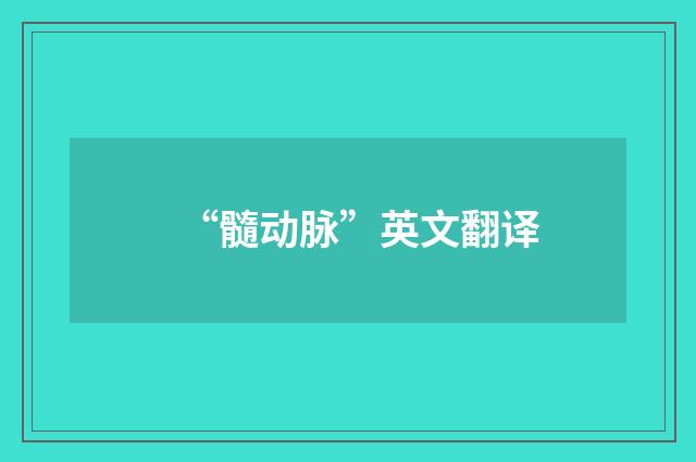 “髓动脉”英文翻译