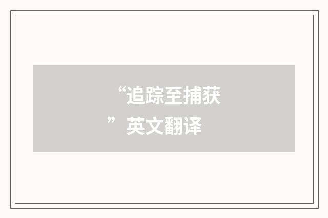 “追踪至捕获”英文翻译