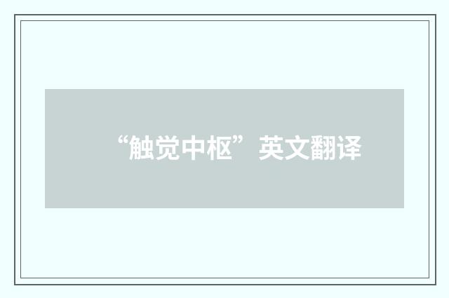 “触觉中枢”英文翻译