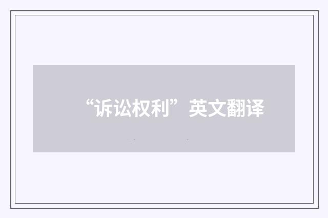 “诉讼权利”英文翻译