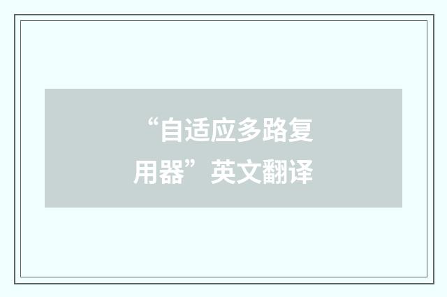 “自适应多路复用器”英文翻译