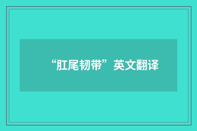 “肛尾韧带”英文翻译