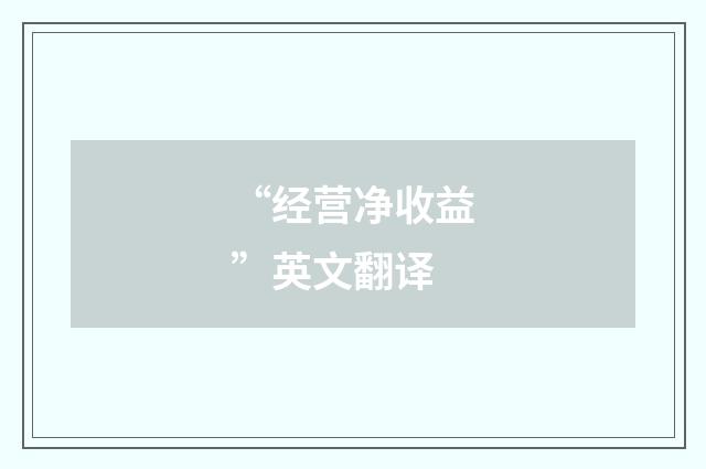 “经营净收益”英文翻译