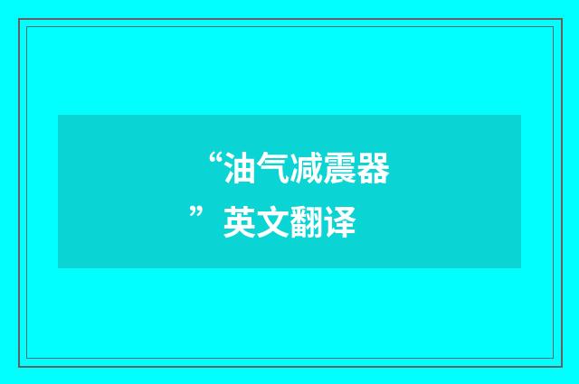 “油气减震器”英文翻译