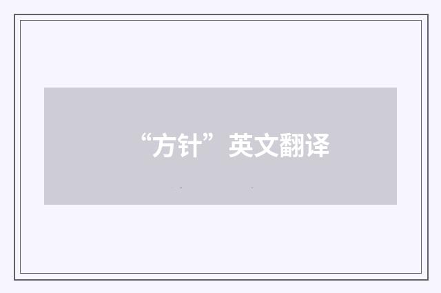“方针”英文翻译