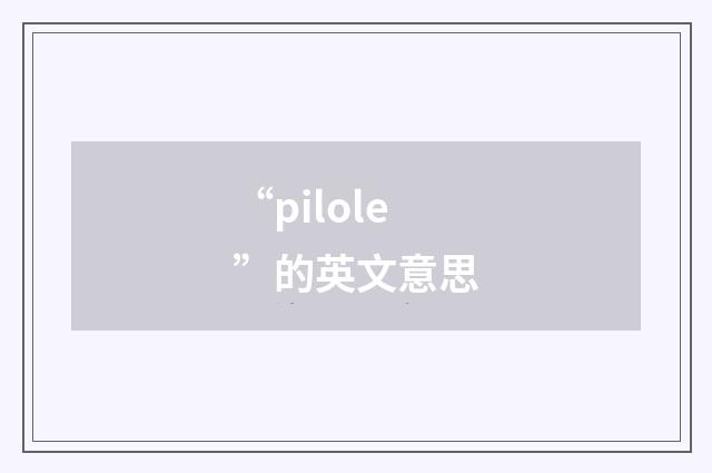 “pilole”的英文意思