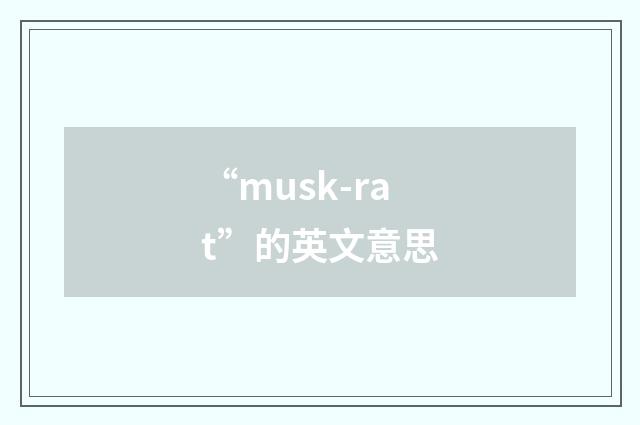 “musk-rat”的英文意思