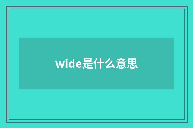 wide是什么意思
