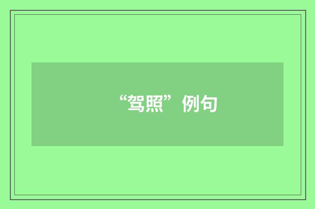 “驾照”例句