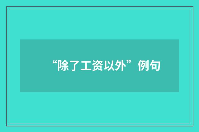 “除了工资以外”例句
