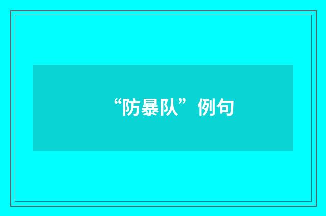 “防暴队”例句