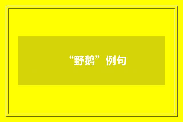 “野鹅”例句