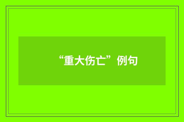 “重大伤亡”例句