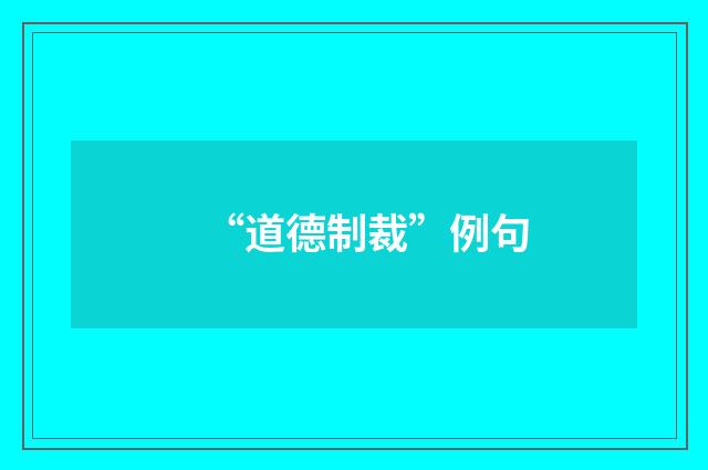 “道德制裁”例句