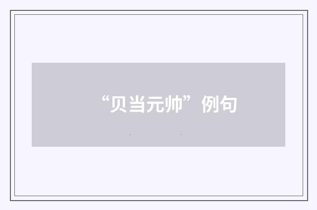 “贝当元帅”例句