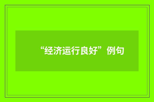 “经济运行良好”例句