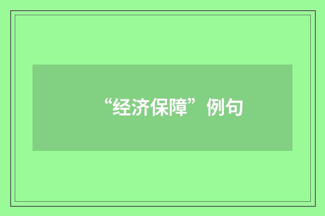 “经济保障”例句