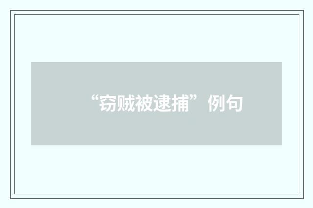 “窃贼被逮捕”例句