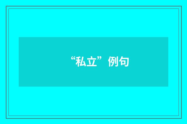 “私立”例句