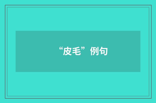 “皮毛”例句