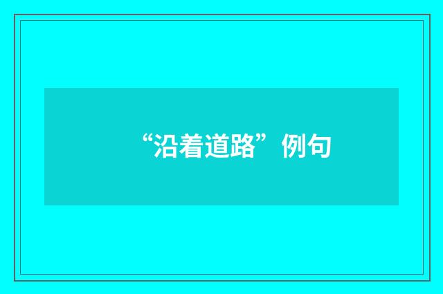 “沿着道路”例句