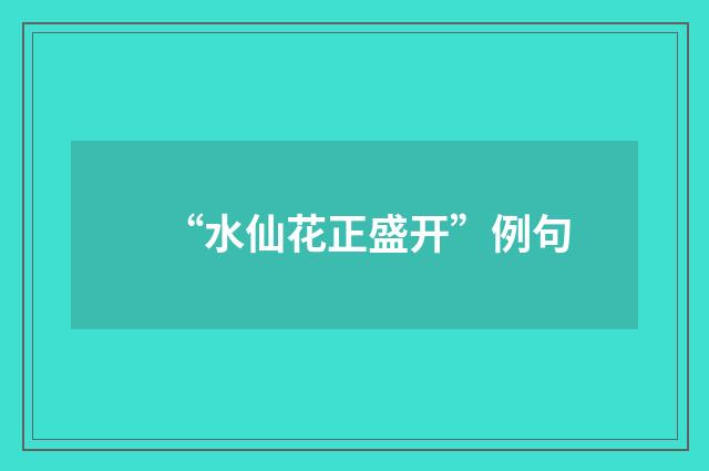 “水仙花正盛开”例句