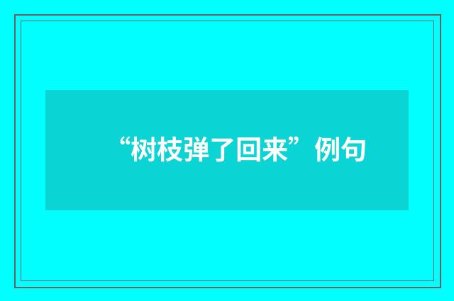 “树枝弹了回来”例句