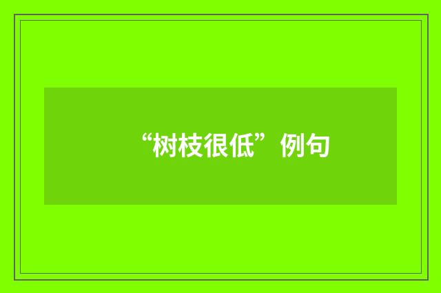 “树枝很低”例句