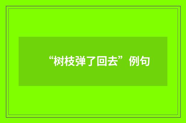 “树枝弹了回去”例句