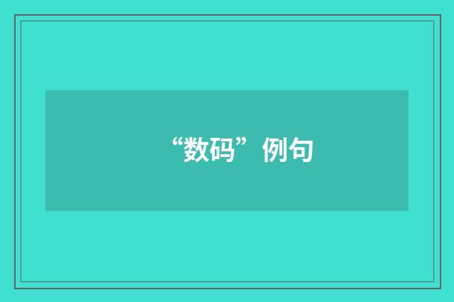 “数码”例句