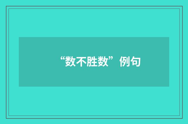 “数不胜数”例句