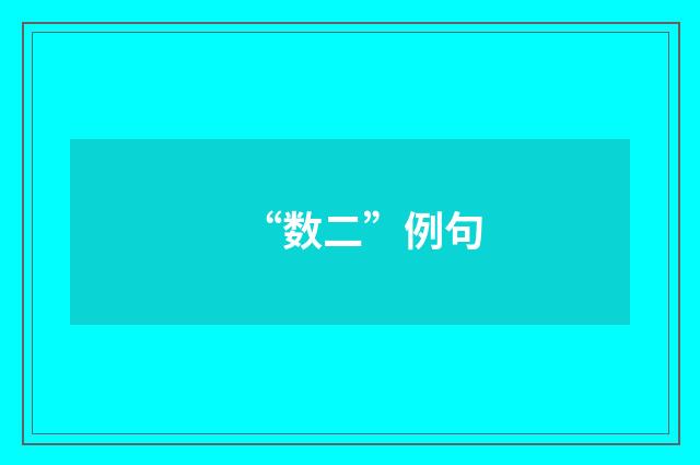 “数二”例句