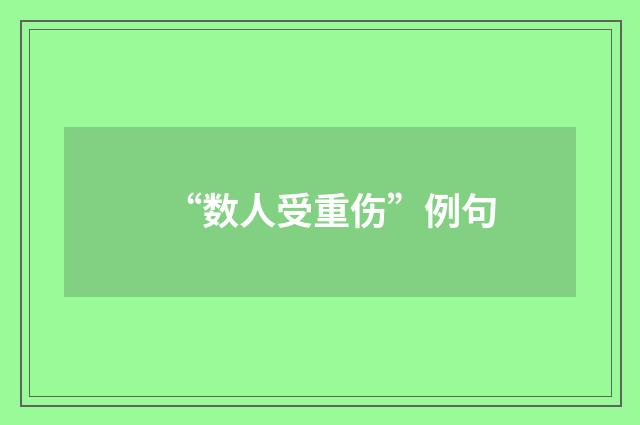 “数人受重伤”例句