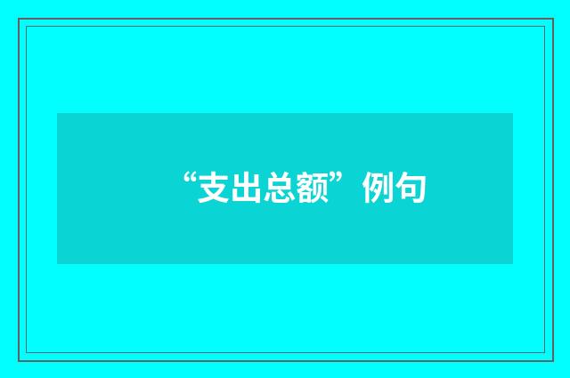 “支出总额”例句