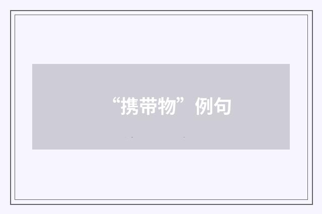 “携带物”例句
