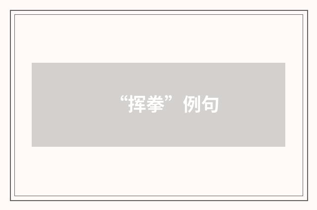 “挥拳”例句