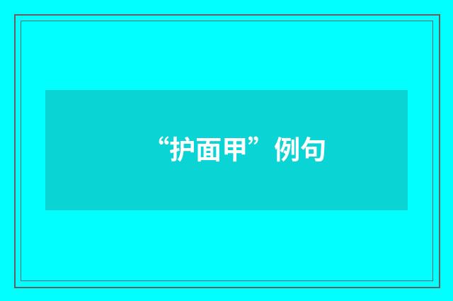 “护面甲”例句
