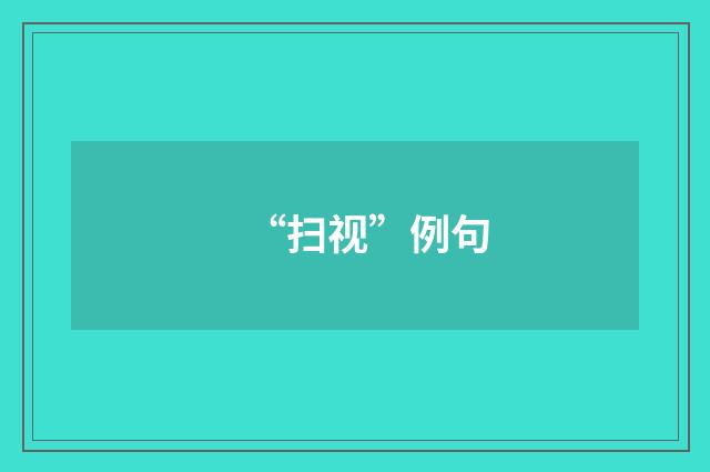 “扫视”例句