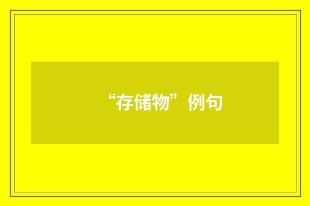 “存储物”例句