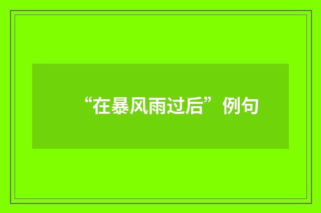 “在暴风雨过后”例句