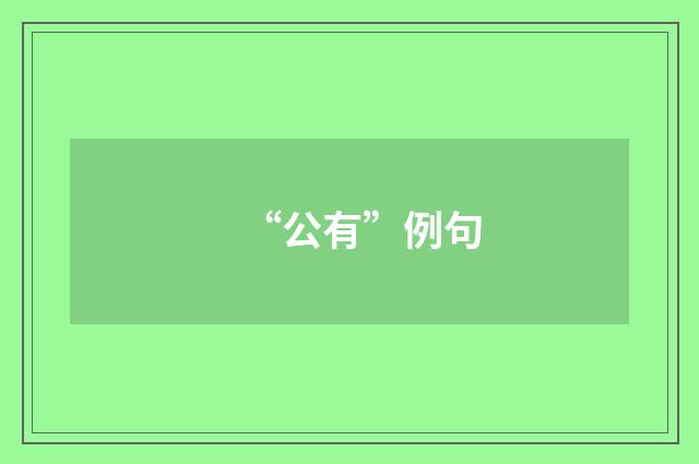 “公有”例句